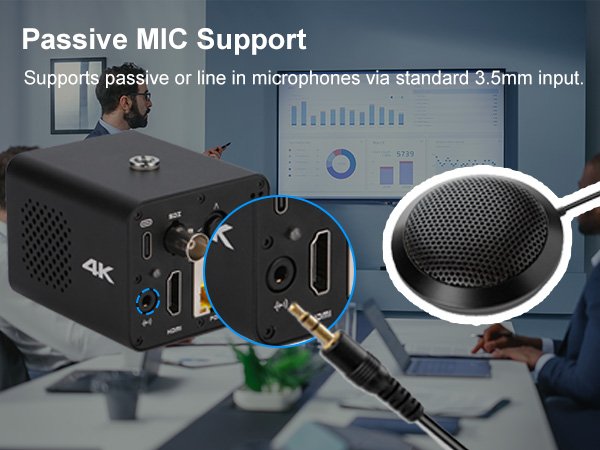 Line-In Audio Support for External Mics